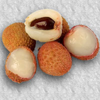 Litchi chinensis